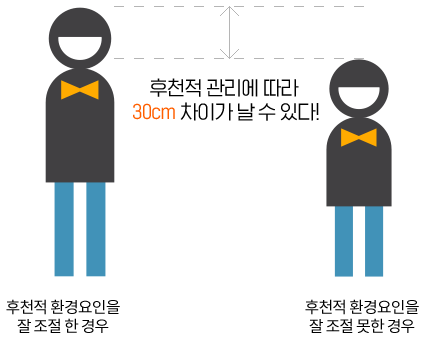 후천적 관리에 따라 30cm 차이가 날 수 있다!